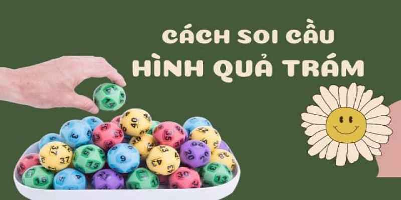 Soi bạch thủ lô theo hình quả trám