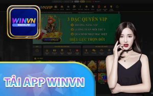 Tải app Winvn 